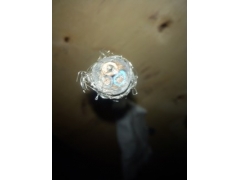 聚氯乙烯绝缘船用电缆